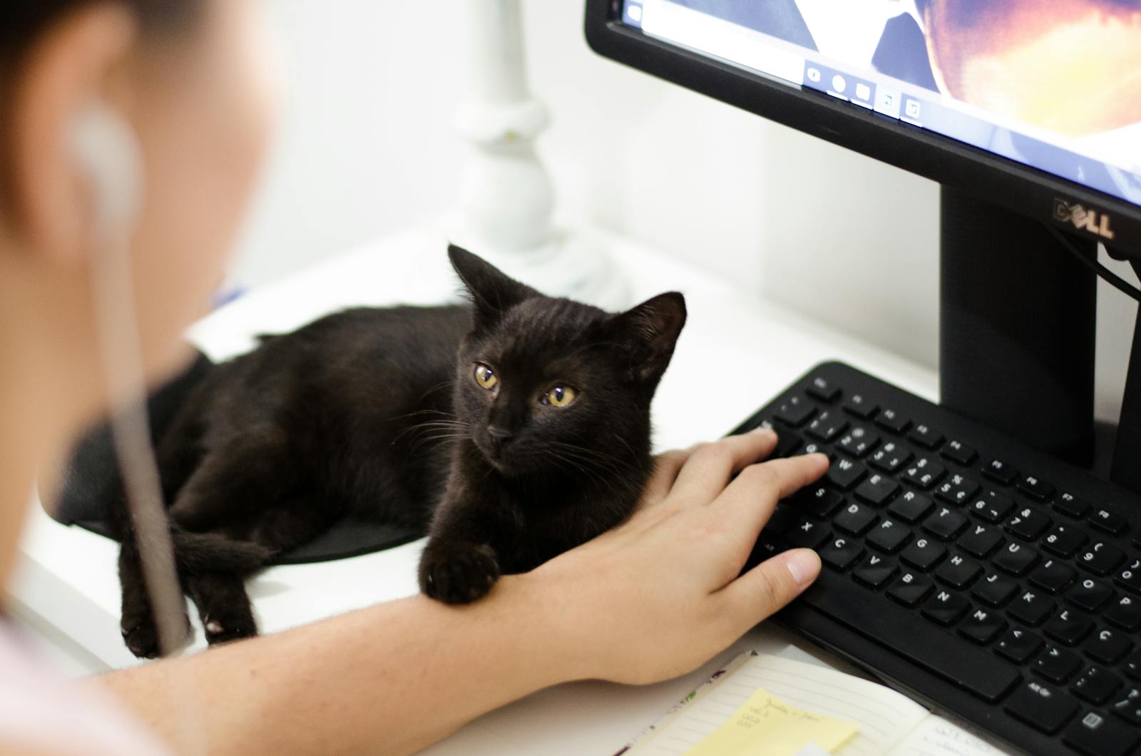 Learning Tech for Career Changers: How to Stay Consistent 📅