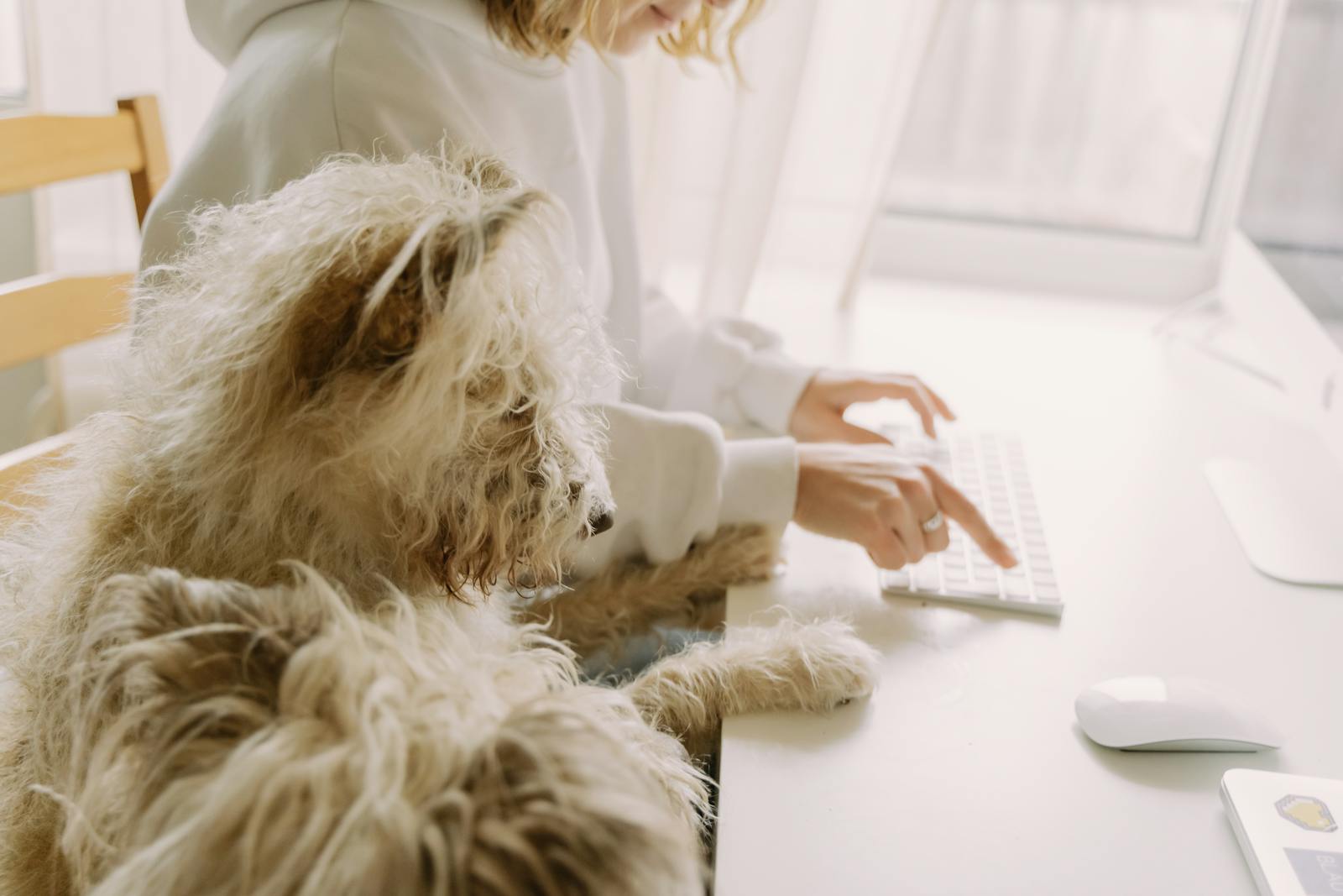 How to Stay Energized While Learning or Freelancing in Tech🔋